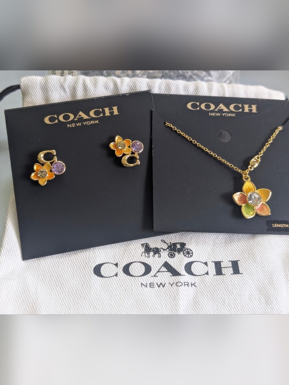 Coach Set Transparent Wildflower Necklace & Signature 'C' Cluster Studs earrings